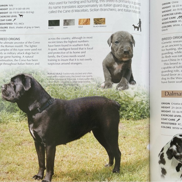The Ultimate Guide to Dogs Hardcover - Picture 6 of 9